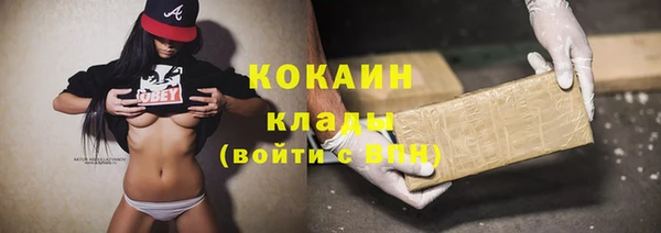винт Инта