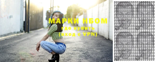 винт Инта