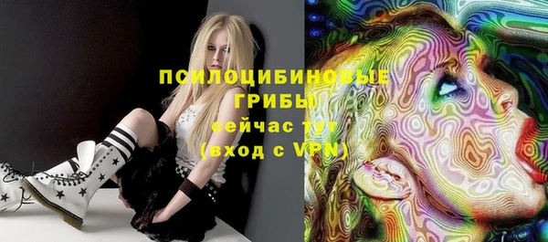 винт Инта