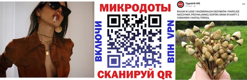 Галлюциногенные грибы мухоморы  Купить  Лабинск 